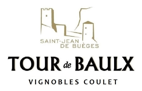 Logo Vignobles Coulet